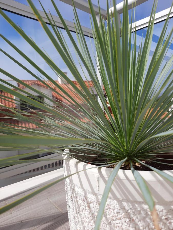 Sitius 5B - NEW seaview apartment with rooftop terrace in historical centre Sitio da Nazaré Esterno foto